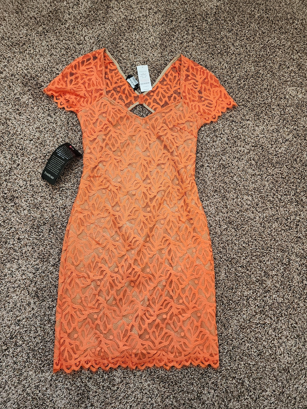 Vibrant Orange Lace Short Sleeve Bodycon Dress
